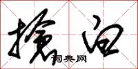 朱锡荣抢白草书怎么写