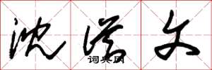 朱锡荣沈从文草书怎么写