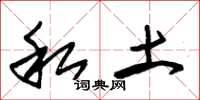 朱锡荣私土草书怎么写