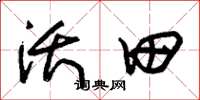 朱锡荣沃田草书怎么写