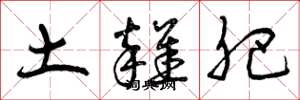 曾庆福土杂肥草书怎么写