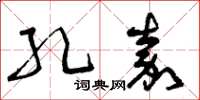 曾庆福孔嘉草书怎么写