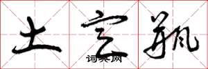 曾庆福土定瓶草书怎么写