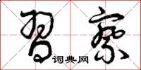 曾庆福习察草书怎么写
