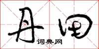 曾庆福丹田草书怎么写