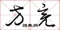 曾庆福方亮草书怎么写