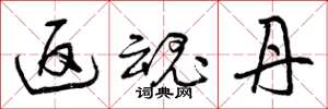 曾庆福返魂丹草书怎么写