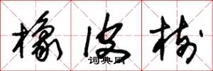 朱锡荣橡皮树草书怎么写