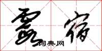 朱锡荣霞宿草书怎么写
