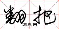 朱锡荣翻把草书怎么写