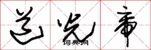 朱锡荣道光帝草书怎么写