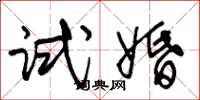 朱锡荣试婚草书怎么写