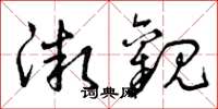曾庆福微观草书怎么写
