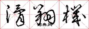 曾庆福滑翔机草书怎么写
