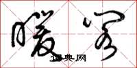 曾庆福暖阁草书怎么写