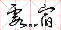 曾庆福霞宿草书怎么写
