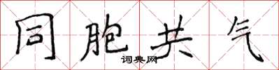 侯登峰同胞共气楷书怎么写
