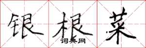 侯登峰银根菜楷书怎么写