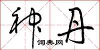曾庆福神丹草书怎么写