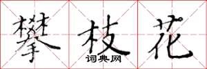 黄华生攀枝花楷书怎么写