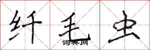 侯登峰纤毛虫楷书怎么写
