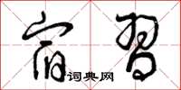 曾庆福宿习草书怎么写