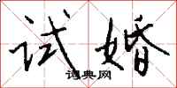 钱沛云试婚行书怎么写