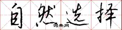 钱沛云自然选择行书怎么写