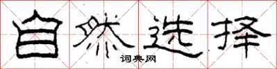 柯春海自然选择隶书怎么写