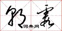 梁锦英朝霞草书怎么写