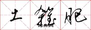 梁锦英土杂肥草书怎么写