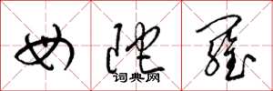 梁锦英母陀罗草书怎么写