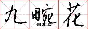 钱沛云九畹花行书怎么写