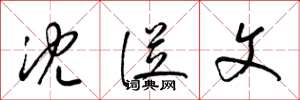 梁锦英沈从文草书怎么写