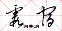 梁锦英霞宿草书怎么写