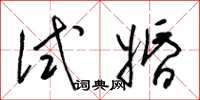 梁锦英试婚草书怎么写