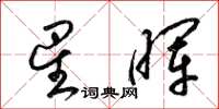 梁锦英星晖草书怎么写