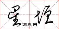 梁锦英星垣草书怎么写