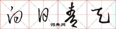 骆恒光白日青天草书怎么写