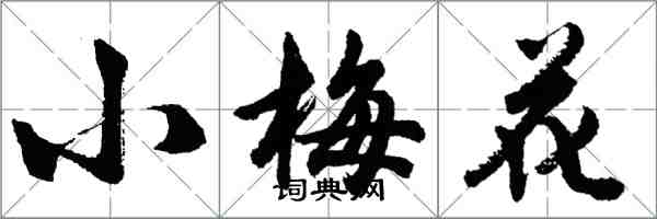 胡问遂小梅花行书怎么写