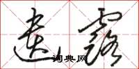 骆恒光遗露草书怎么写