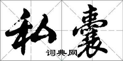 胡问遂私囊行书怎么写
