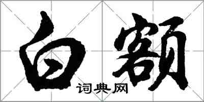 胡问遂白额行书怎么写