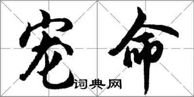 胡问遂宠命行书怎么写
