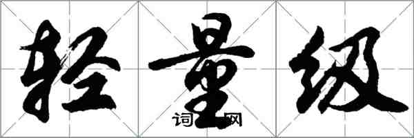 胡问遂轻量级行书怎么写