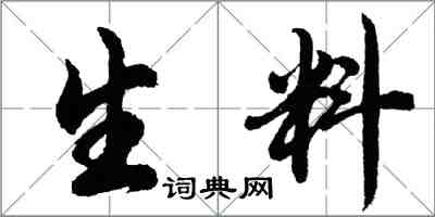 胡问遂生料行书怎么写