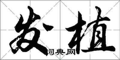 胡问遂发植行书怎么写