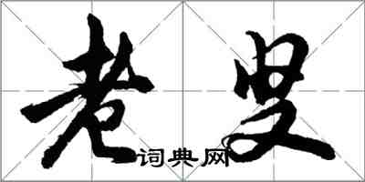 胡问遂老叟行书怎么写