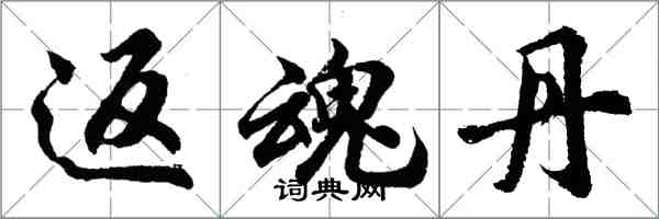 胡问遂返魂丹行书怎么写