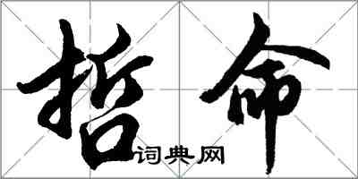 胡问遂哲命行书怎么写